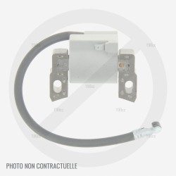 Bobine d' allumage pour moteur Briggs Stratton 875 Series