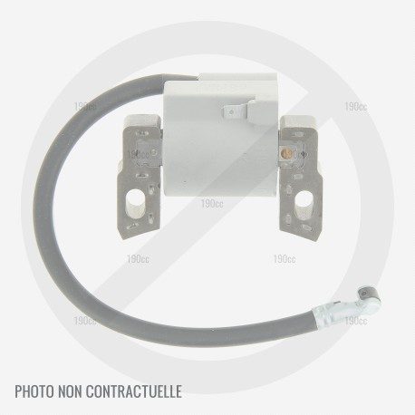 Bobine d' allumage pour moteur Briggs Stratton 875 Series Bobine d' allumage pour moteur Briggs Stratton 875 Series