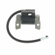 Bobine d'allumage pour moteur Briggs Stratton 875 Series