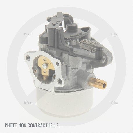 Carburateur pour moteur Briggs Stratton M33, Professional Series 5210 OHV