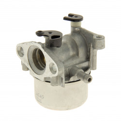 Carburateur pour moteur Briggs Stratton Quantum à starter automatique