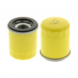 Filtre huile moteur Briggs Stratton 875EX Series, 875EX Series OHV Filtre huile moteur Briggs Stratton 875EX Series, 875EX Series OHV