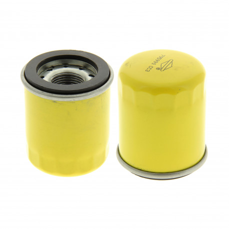 Filtre huile moteur Briggs Stratton 875EX Series, 875EX Series OHV Filtre huile moteur Briggs Stratton 875EX Series, 875EX Series OHV