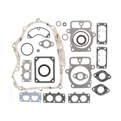Pochette joint Briggs Stratton Commercial Series V Twin OHV, Professional Series Pochette joint Briggs Stratton Commercial Series V Twin OHV, Professional Series