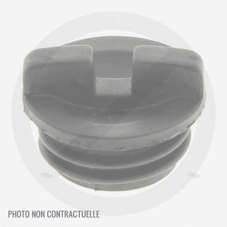 Bouchon reservoir huile Alpina P430, P440, P470, P472, P480, Castelgarden XC 47 P, XC 48 P Bouchon reservoir huile Alpina P430, P440, P470, P472, P480, Castelgarden XC 47 P, XC 48 P