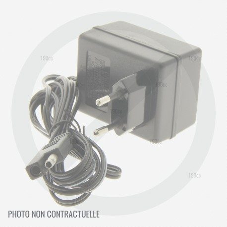 Chargeur de batterie tondeuse MTD Advance 53 SPBIHW moteur Briggs Stratton DOV Instart Chargeur de batterie tondeuse MTD Advance 53 SPBIHW moteur Briggs Stratton DOV Instart