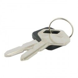 Clé de contact GGP 118210023/0 pour tracteur tondeuse
