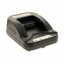 Chargeur batterie Briggs Stratton Instart 675 IS SERIES OHV