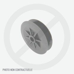 Poulie de boitier de transmission pour tondeuse Wolf GTFK1, GTFH2