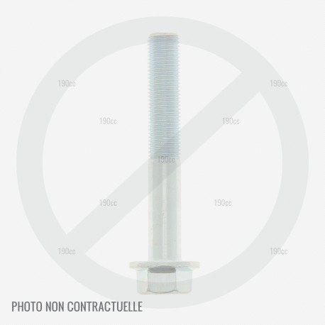 Vis de guidon pour tondeuse à gazon Outils Wolf NAF2 et NATF2 Vis de guidon pour tondeuse à gazon Outils Wolf NAF2 et NATF2