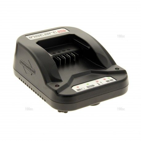 Chargeur batterie tondeuse GGP Italy moteur Briggs Stratton In Start Chargeur batterie tondeuse GGP Italy moteur Briggs Stratton In Start