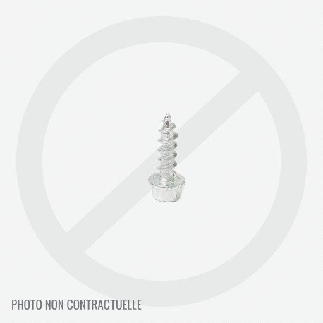 Vis de fixation de carter courroie tondeuse MTD et MTD Black Line Vis de fixation de carter courroie tondeuse MTD et MTD Black Line