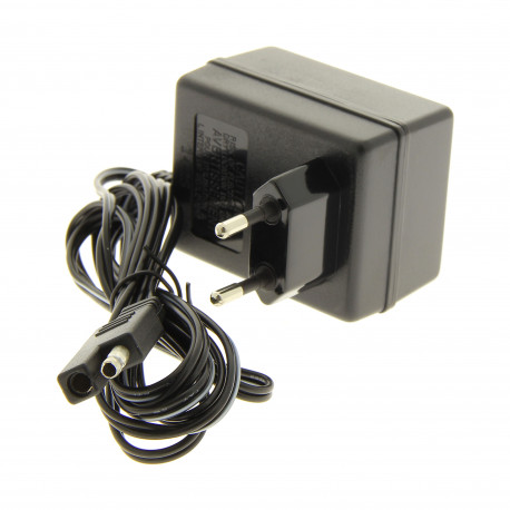 Chargeur de batterie pour tondeuse à gazon démarrage electrique Chargeur de batterie pour tondeuse à gazon démarrage electrique
