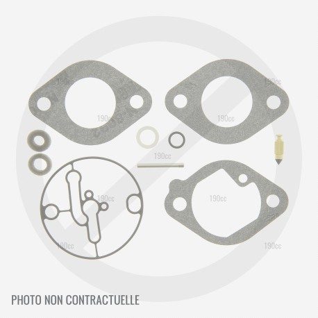 Kit carburateur pour moteur Briggs 311777 à carburateur Walbro