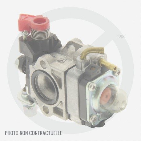 Carburateur débroussailleuse MTD 600 / 700 / 700 VP / 710 AST / 2838 T
