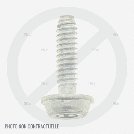 Vis lanceur débroussailleuse MTD Smart BC 33 - BC 43 - BC 52, BL 4243 Vis lanceur débroussailleuse MTD Smart BC 33 - BC 43 - BC 52, BL 4243