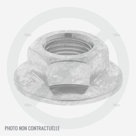 Ecrou de serrage de guide pour MTD GCS 4600/45 (à partir de 2014)