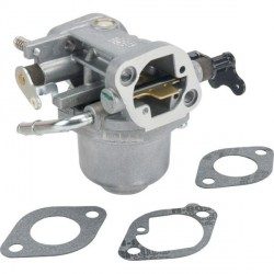 Carburateur Briggs Stratton Intek 7160 / 7180, Intek 18,0 OHV, Intek 16,0