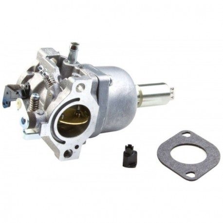 Carburateur pour moteur Briggs and Stratton 311777