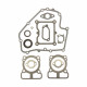 Pochette joint moteur Briggs Stratton DOV, 775IS Series DOV INSTART, DOV 650