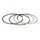 Jeu de segments Briggs & Stratton 797011