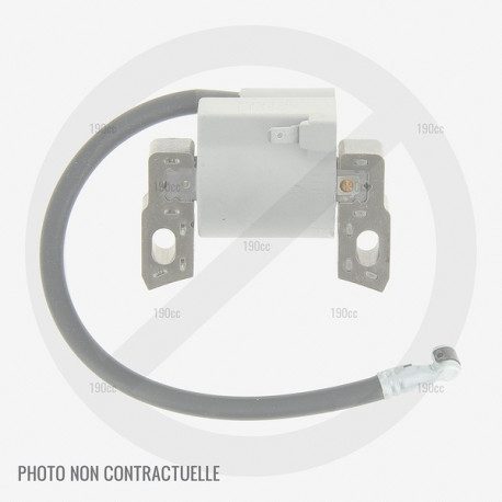 Bobine moteur Loncin 1P61FA, 1P65FA, 1P68FA, 1P70F (démarrage manuel) Bobine moteur Loncin 1P61FA, 1P65FA, 1P68FA, 1P70F (démarrage manuel)