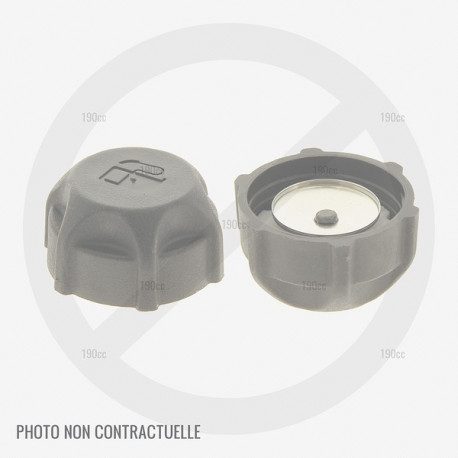 Bouchon reservoir essence moteur GGP RSC100 et RSCT100 Bouchon reservoir essence moteur GGP RSC100 et RSCT100