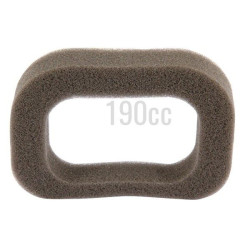 Filtre à air pour moteur GGP RS 100