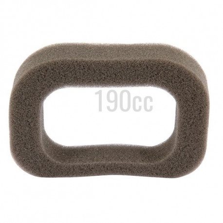Filtre à air pour moteur GGP RS 100