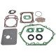 Kit joint moteur pour GGP WBE0704