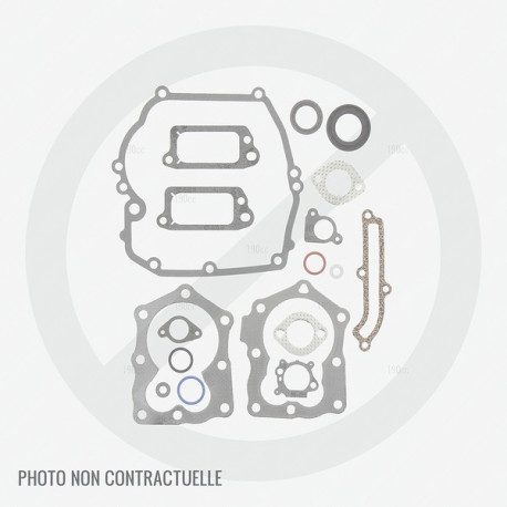 Jeu de joints pour moteur GGP WBE0701 Jeu de joints pour moteur GGP WBE0701