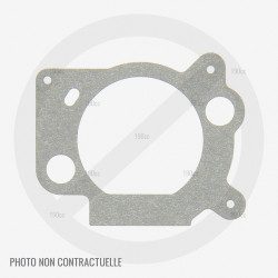 Joint de filtre à air pour moteur GGP TRE352