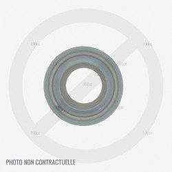 Joint spi vilebrequin pour moteur Greatland TZ1P70FA et DG1P70FA