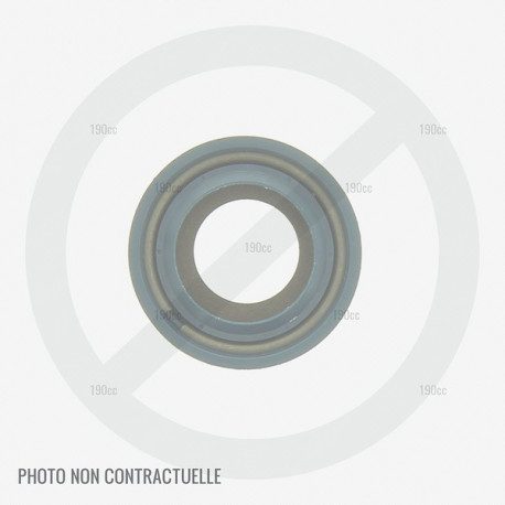 Joint spi vilebrequin pour moteur GGP SV200, R200 - Plus fabriqué