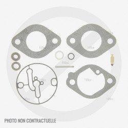 Kit pointeau et flotteur pour carburateur GGP 165F-3