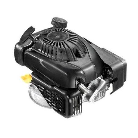 Moteur complet de remplacement GGP RSC100 Moteur complet de remplacement GGP RSC100