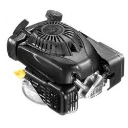 Moteur GGP RSCT100 (moteur de remplacement standard GGP RSCT 100) Moteur GGP RSCT100 (moteur de remplacement standard GGP RSCT 100)