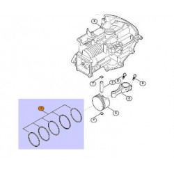 Segment moteur tondeuse Viking EVC200