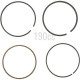Segment moteur GGP WBE0704