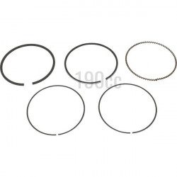 Segment moteur GGP TRE0701 Segment moteur GGP TRE0701