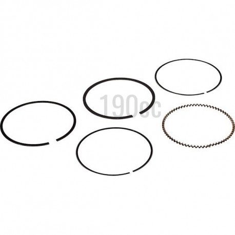 Segment pour moteur RS100, RSC100, RSCT100 Segment pour moteur RS100, RSC100, RSCT100