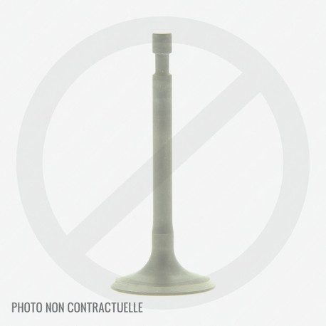 Soupape pour moteur GGP WBE140, WBE0702, WBE0701 et RM45 Soupape pour moteur GGP WBE140, WBE0702, WBE0701 et RM45