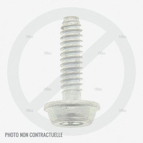 Vis pot echappement moteur GGP WBE 0701, WBE 0702, WBE 0704 Vis pot echappement moteur GGP WBE 0701, WBE 0702, WBE 0704