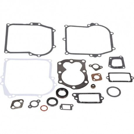 Pochette joint moteur Briggs Stratton 300 Series, 450 Series, 500 Series, 550 Series Pochette joint moteur Briggs Stratton 300 Series, 450 Series, 500 Series, 550 Series