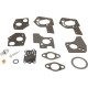 Kit carburateur Briggs Stratton moteur 5 HP