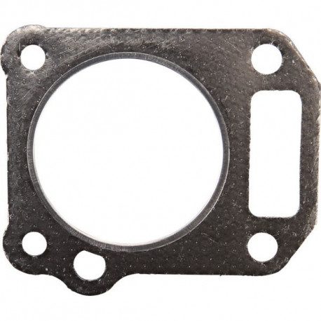 Joint de culasse Briggs 550 Series