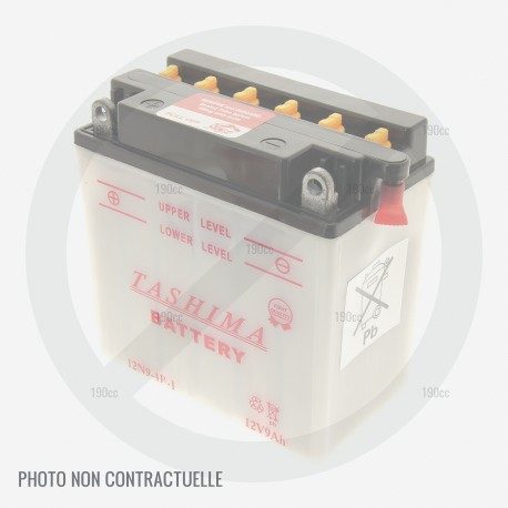 Batterie autoportée MTD Minirider 60 RDE et SDE Batterie autoportée MTD Minirider 60 RDE et SDE