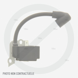 Bobine Loncin 1P70FA