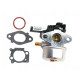 Carburateur Briggs Stratton 875iS-Series OHV INSTART, 800 Series (voir type moteur)