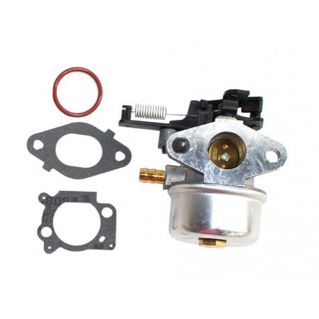Carburateur Briggs Stratton 875iS-Series OHV INSTART, 800 Series (voir type moteur)